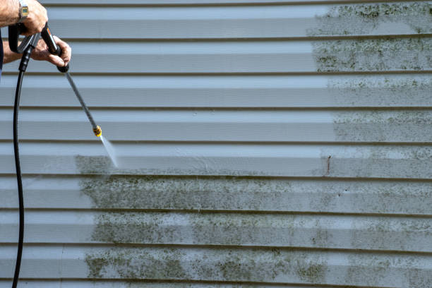 Best Carpet Removal and Disposal  in North Valley Stream, NY